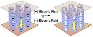Schematic illustration of the electrical response of ferroelectrical columnar liquid crystal © Takuzo Aida Schematic illustration of the electrical response of ferroelectrical columnar liquid crystal © Takuzo Aida