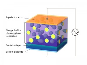 Device structure of manganite thin film showing phase separation © Masashi Kawasaki