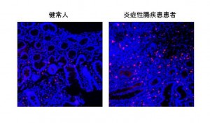 240903_医科研_full