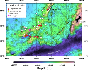 Topographical ocean floor map and egg sampling sites Topographical ocean floor map and egg sampling sites