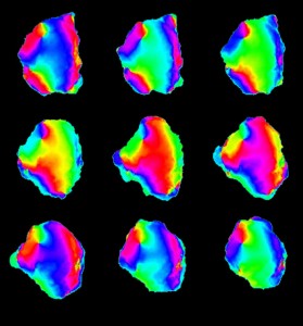 © Satoshi Sawai. Propagating waves of phosphatidylinositol (3,4,5)-trisphosphate (PIP3) in Dictyostelium cell membrane. Colors indicate extracted phase of periodic changes in PIP3 concentrations. Phase singularities are points in space where all colors neighbor one another. Outwardly propagating waves in a rotating spiral around the singularities initiate rotational membrane expansion. © Satoshi Sawai. Propagating waves of phosphatidylinositol (3,4,5)-trisphosphate (PIP3) in Dictyostelium cell membrane. Colors indicate extracted phase of periodic changes in PIP3 concentrations. Phase singularities are points in space where all colors neighbor one another. Outwardly propagating waves in a rotating spiral around the singularities initiate rotational membrane expansion.
