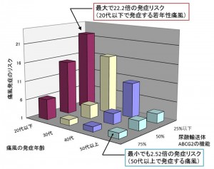 © 痛風の発症年齢と尿酸輸送体ABCG2の機能別にみた痛風の発症リスク
