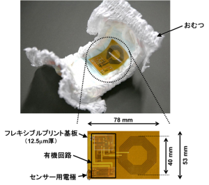 © Sakurai Lab. / Someya-Sekitani Lab.