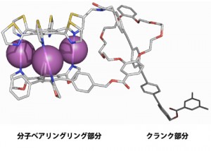 図3:自己組織化による分子クランク