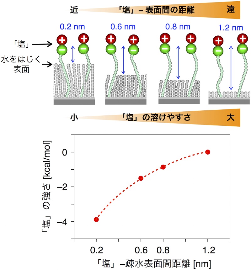 「塩」と「水をはじく表面」の関係 © 2015 伊藤喜光、相田卓三「塩」は「水をはじく表面」の近くの水には溶けにくい。