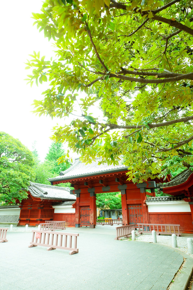 赤門(縦)